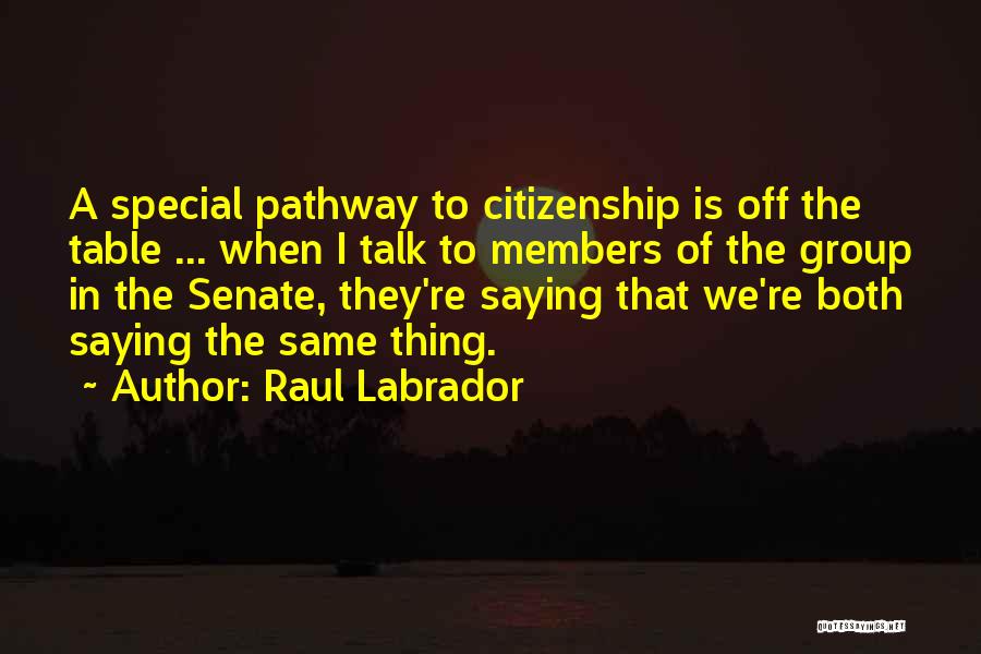 Best Labrador Quotes By Raul Labrador