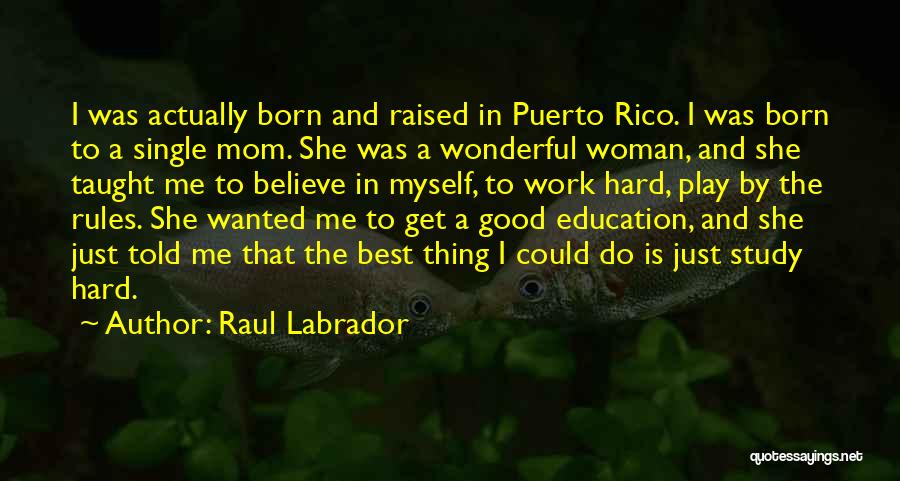 Best Labrador Quotes By Raul Labrador