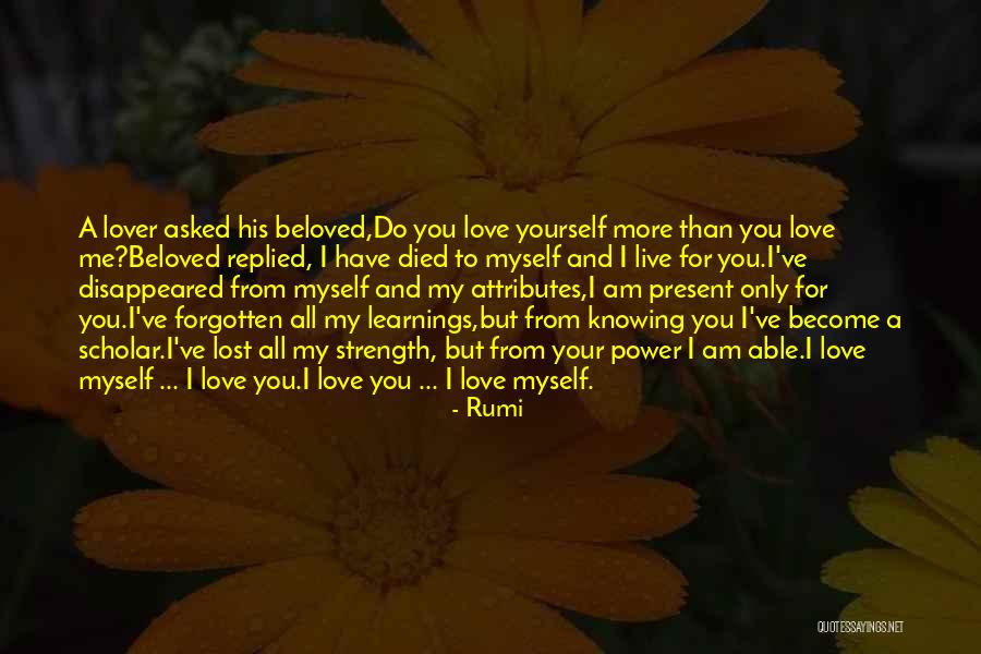 Best Learnings Quotes By Rumi