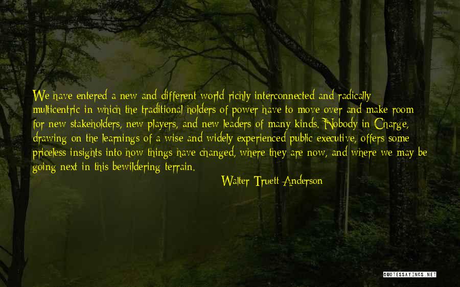 Best Learnings Quotes By Walter Truett Anderson