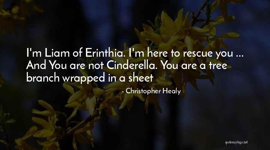 Best Liam Quotes By Christopher Healy Best Liam Quotes By Christopher Healy