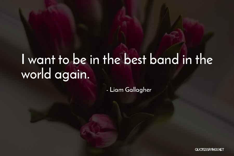 Best Liam Quotes By Liam Gallagher