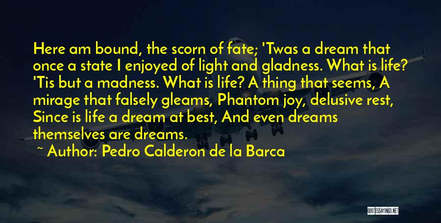 Best Life Dream Quotes By Pedro Calderon De La Barca