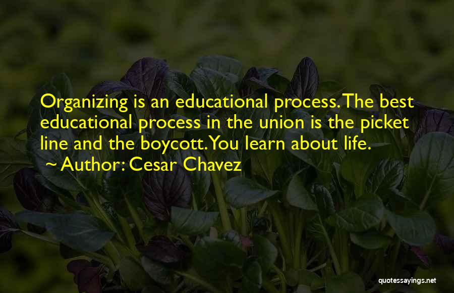 Best Life Learn Quotes By Cesar Chavez