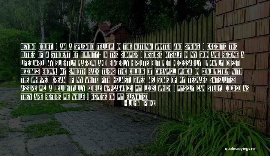 Best Lifeguard Quotes By John Updike Best Lifeguard Quotes By John Updike