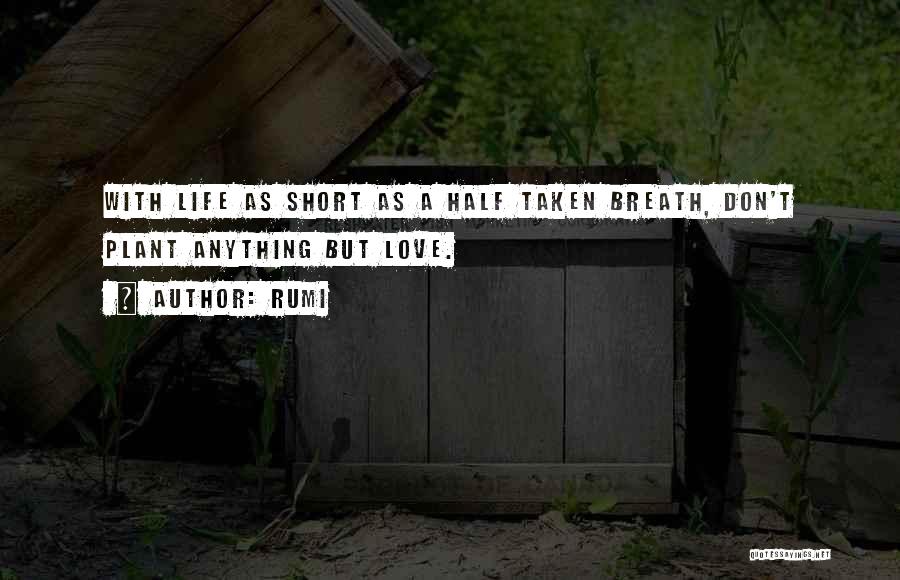 Best Life's Too Short Quotes By Rumi