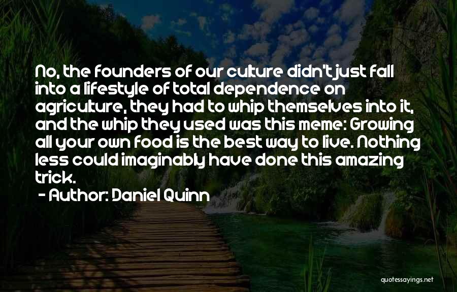 Best Lifestyle Quotes By Daniel Quinn