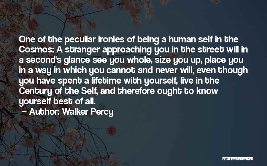 Best Lifetime Quotes By Walker Percy