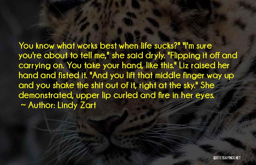 Best Lift Me Up Quotes By Lindy Zart