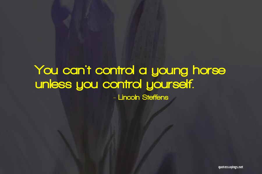 Best Lincoln Steffens Quotes By Lincoln Steffens Best Lincoln Steffens Quotes By Lincoln Steffens