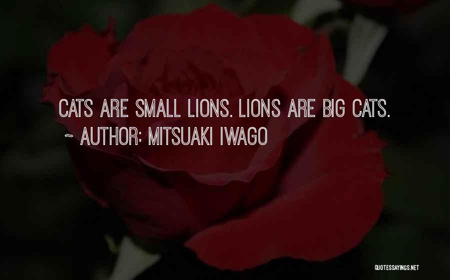 Best Lions Quotes By Mitsuaki Iwago
