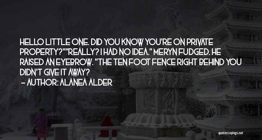 Best Little Foot Quotes By Alanea Alder