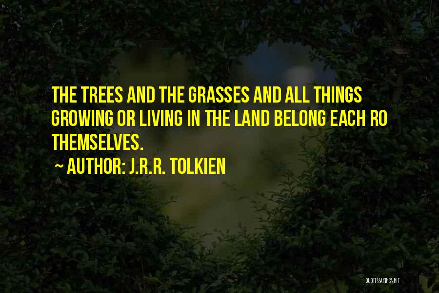 Best Lord The Rings Quotes By J.R.R. Tolkien