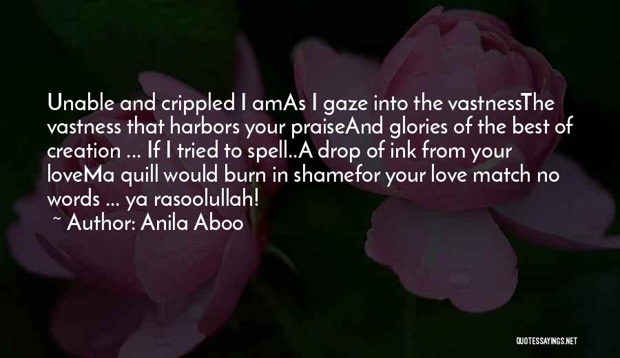 Best Love Match Quotes By Anila Aboo