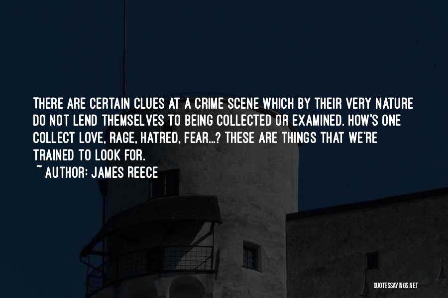Best Love Scene Quotes By James Reece