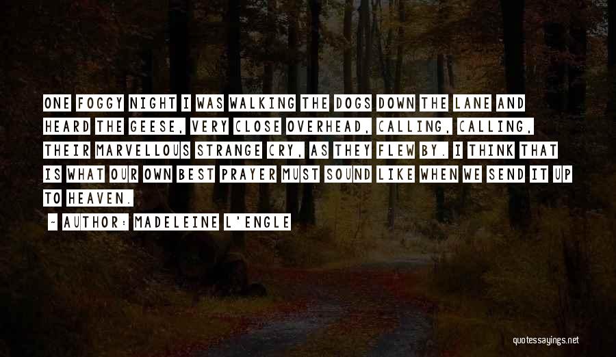Best Madeleine L'engle Quotes By Madeleine L'Engle Best Madeleine L'engle Quotes By Madeleine L'Engle