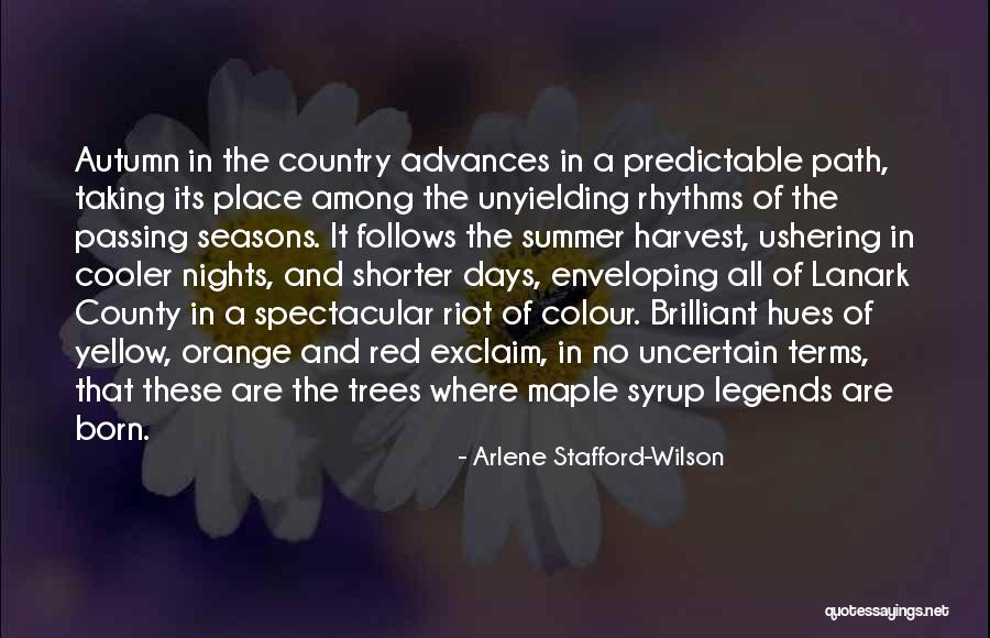 Best Maple Syrup Quotes By Arlene Stafford-Wilson