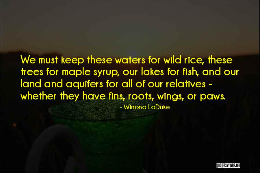 Best Maple Syrup Quotes By Winona LaDuke