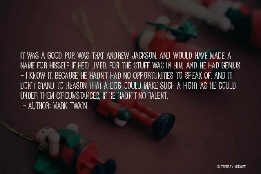 Best Mark Jackson Quotes By Mark Twain