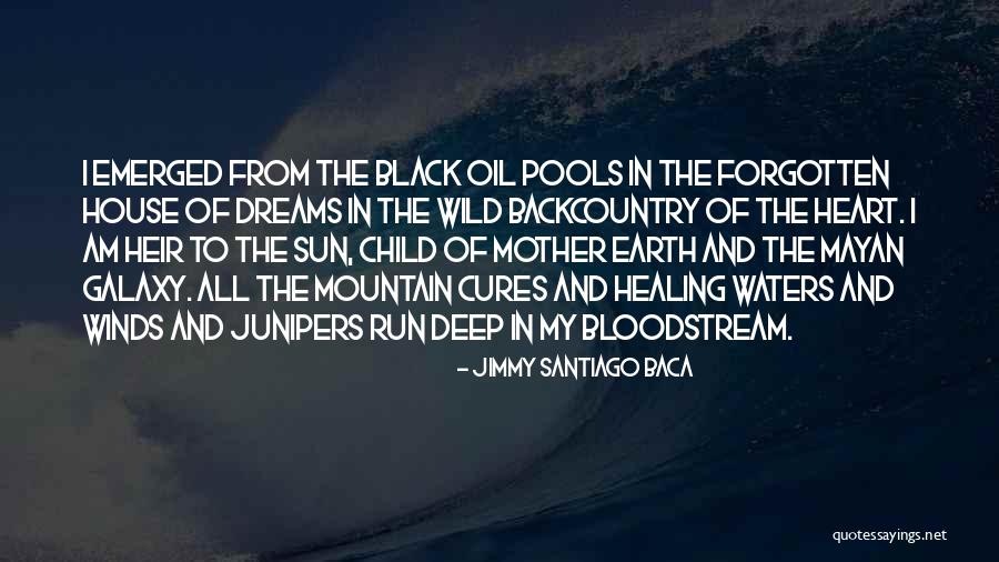 Best Mayan Quotes By Jimmy Santiago Baca Best Mayan Quotes By Jimmy Santiago Baca