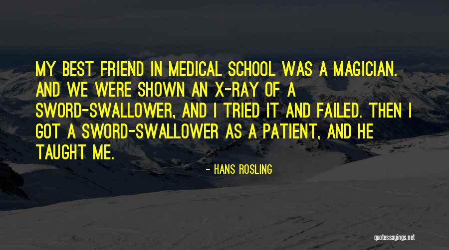 Best Medical Quotes By Hans Rosling Best Medical Quotes By Hans Rosling