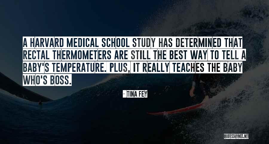 Best Medical Quotes By Tina Fey Best Medical Quotes By Tina Fey