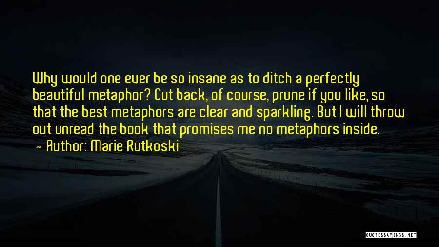 Best Metaphors Quotes By Marie Rutkoski