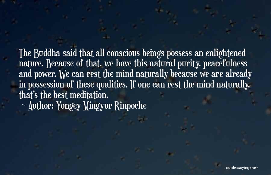 Best Mind Power Quotes By Yongey Mingyur Rinpoche