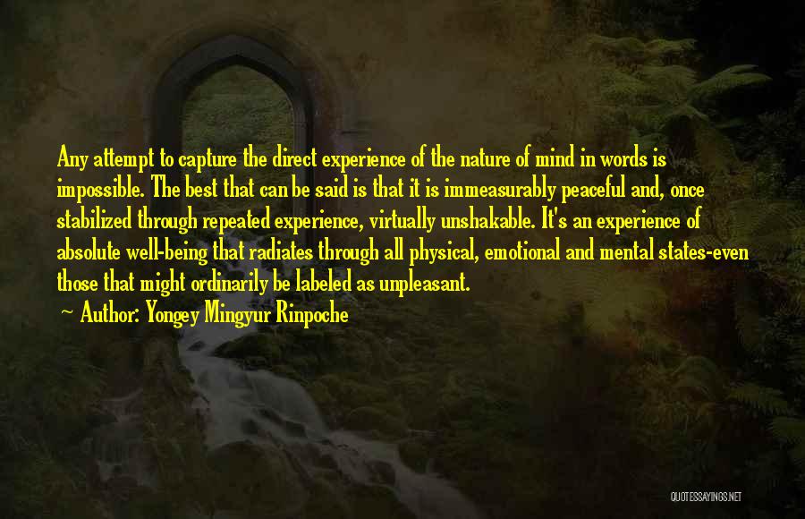 Best Mind Quotes By Yongey Mingyur Rinpoche