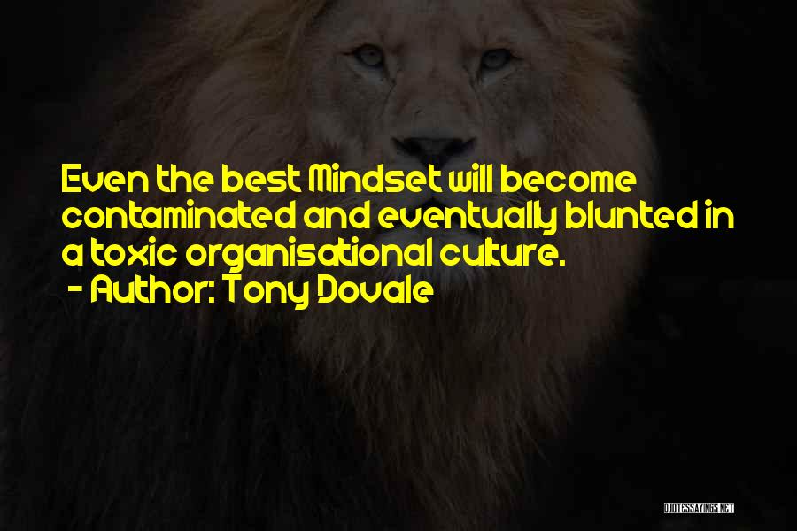 Best Mindset Quotes By Tony Dovale