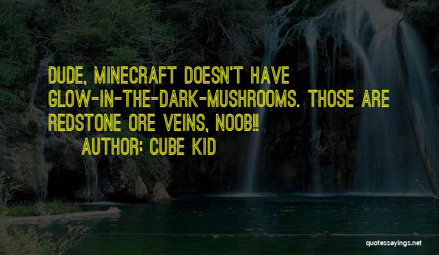 Best Minecraft Quotes By Cube Kid