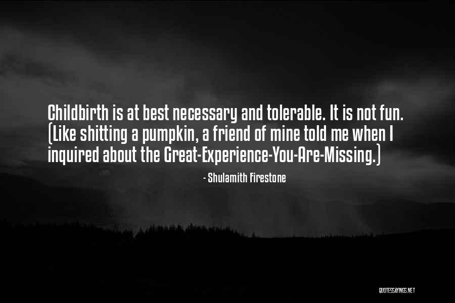 Best Missing You Quotes By Shulamith Firestone