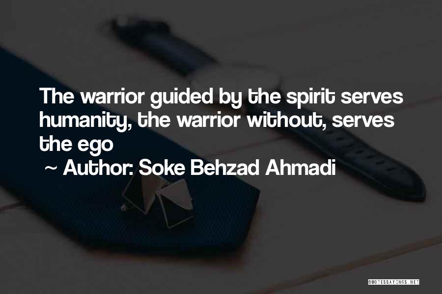 Best Mma Fighting Quotes By Soke Behzad Ahmadi