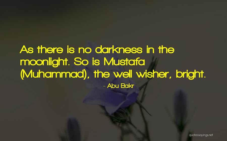 Best Moonlight Quotes By Abu Bakr