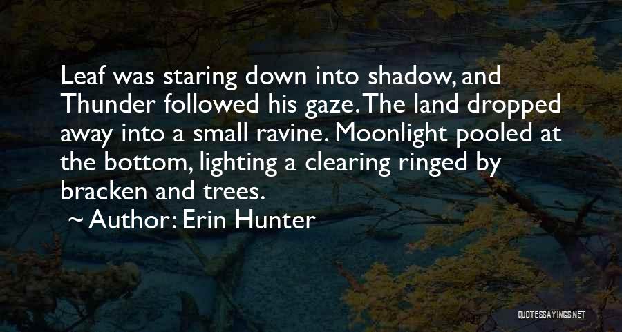 Best Moonlight Quotes By Erin Hunter