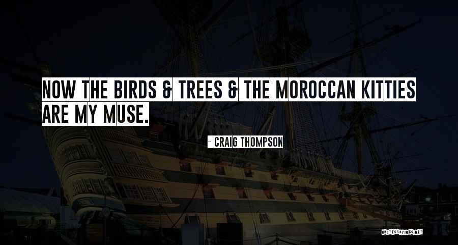 Best Moroccan Quotes By Craig Thompson