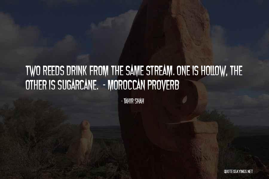 Best Moroccan Quotes By Tahir Shah