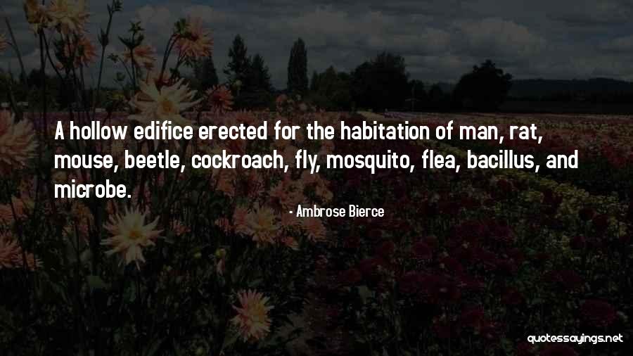 Best Mosquito Quotes By Ambrose Bierce