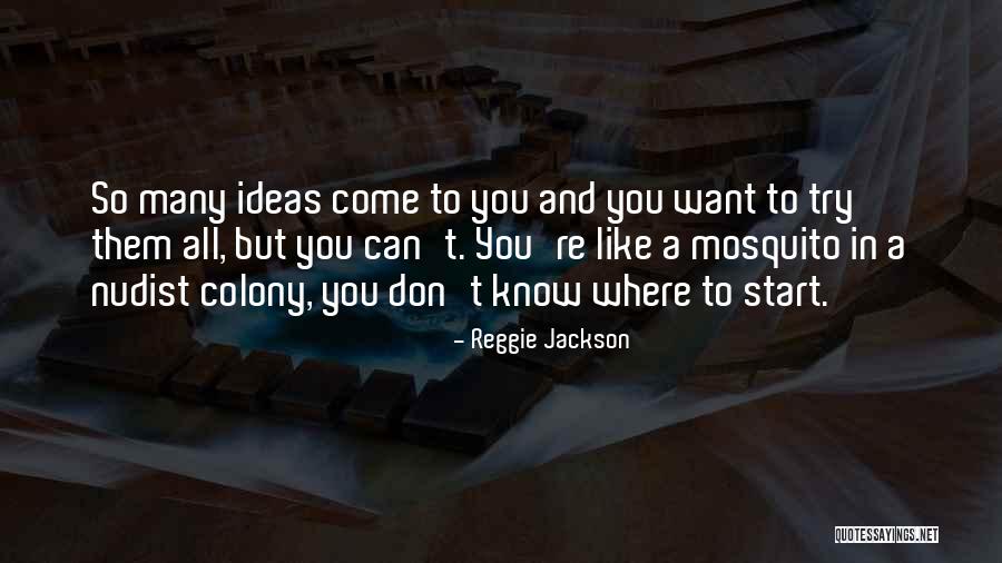 Best Mosquito Quotes By Reggie Jackson Best Mosquito Quotes By Reggie Jackson