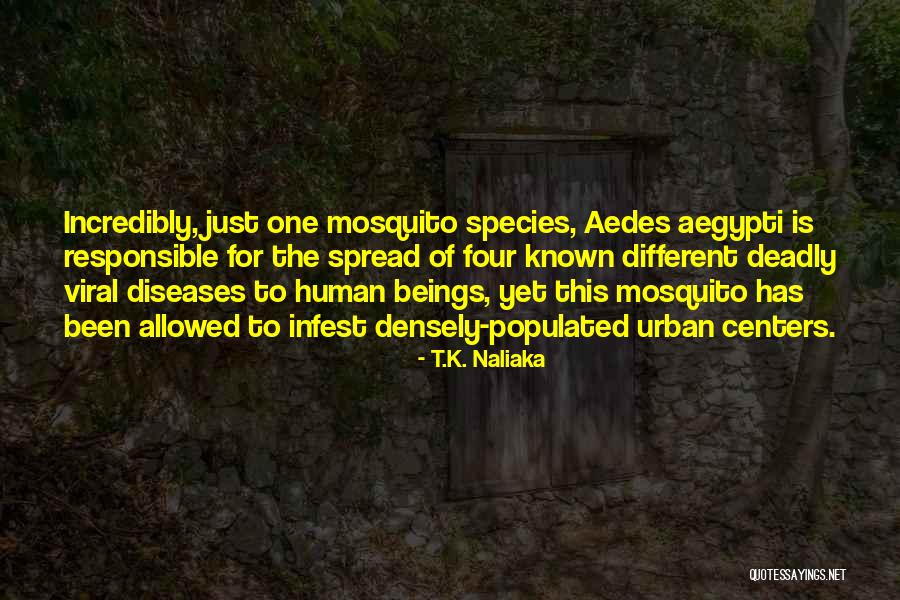 Best Mosquito Quotes By T.K. Naliaka Best Mosquito Quotes By T.K. Naliaka