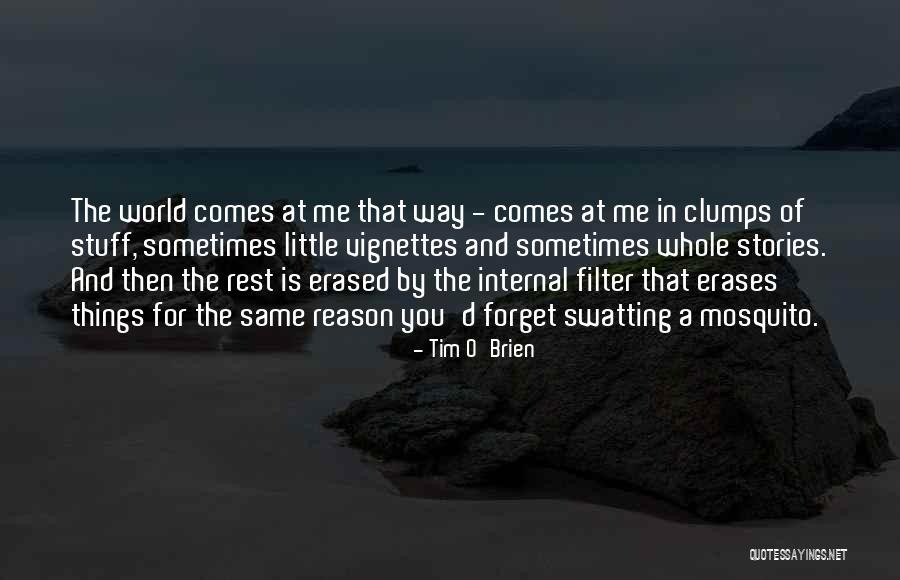 Best Mosquito Quotes By Tim O'Brien