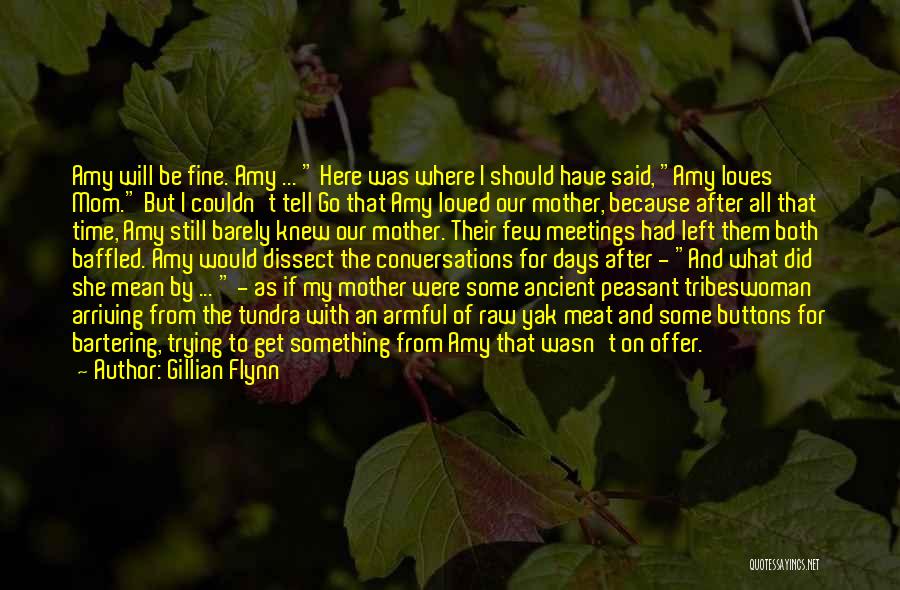 Best Mother Law Quotes By Gillian Flynn