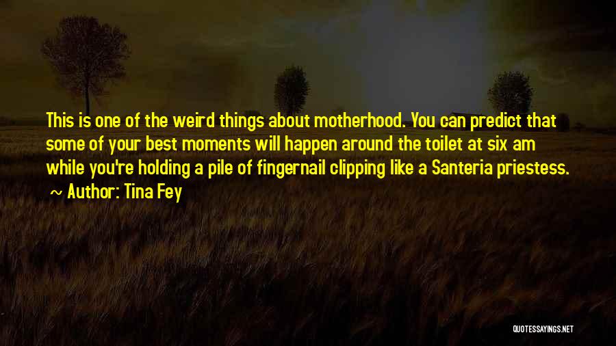 Best Motherhood Quotes By Tina Fey