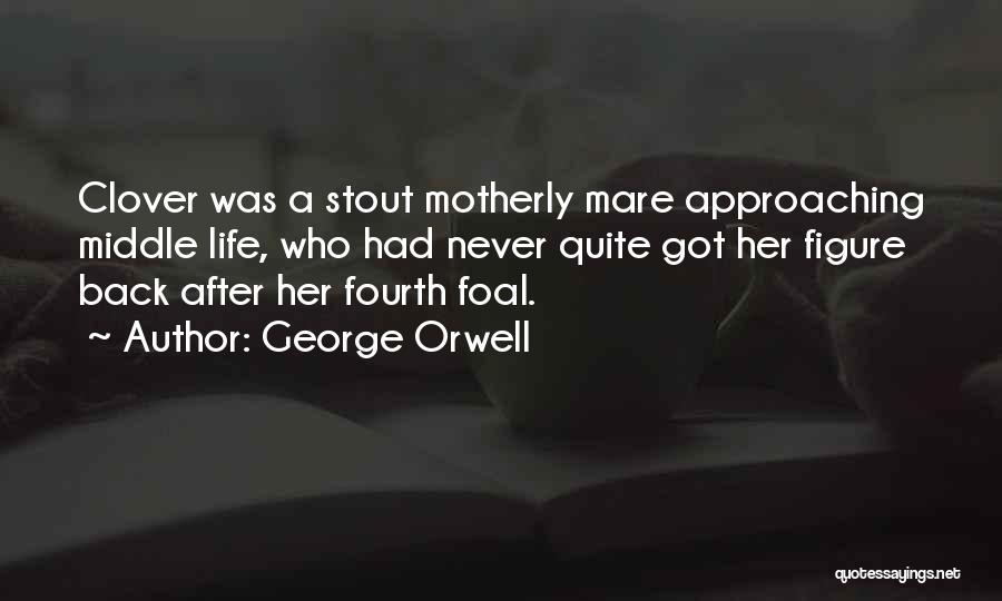 Best Motherly Quotes By George Orwell