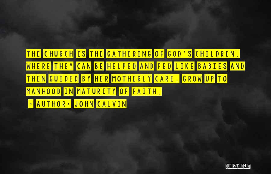 Best Motherly Quotes By John Calvin