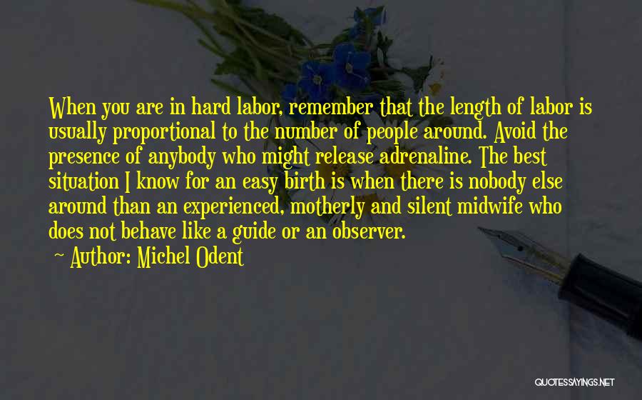 Best Motherly Quotes By Michel Odent