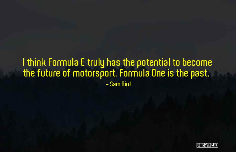 Best Motorsport Quotes By Sam Bird