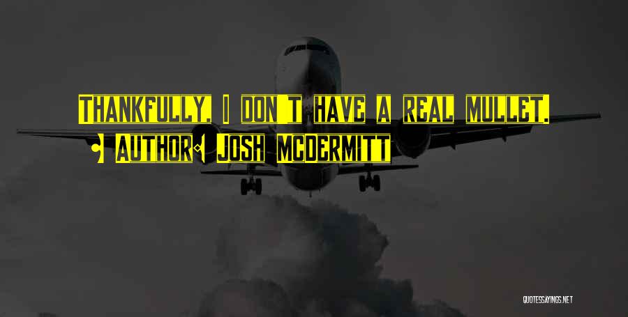Best Mullet Quotes By Josh McDermitt