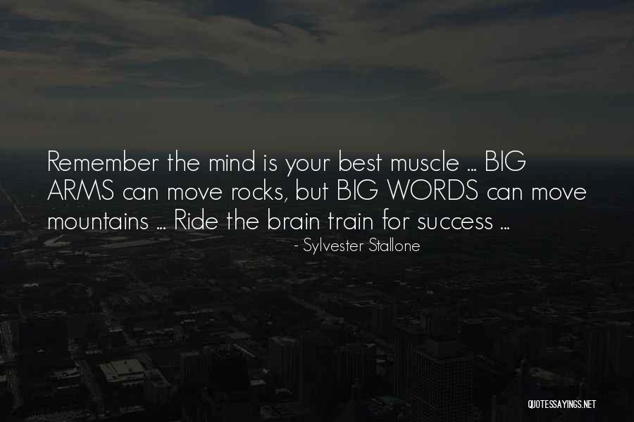 Best Muscle Quotes By Sylvester Stallone