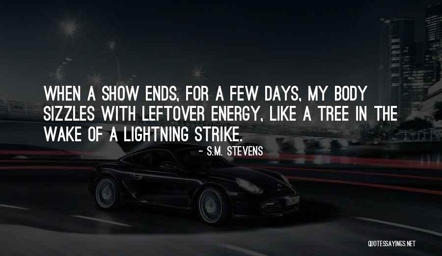 Best Musical Theatre Quotes By S.M. Stevens Best Musical Theatre Quotes By S.M. Stevens